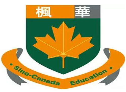 成都全腦開發(fā)加盟市場洞察與選擇指南